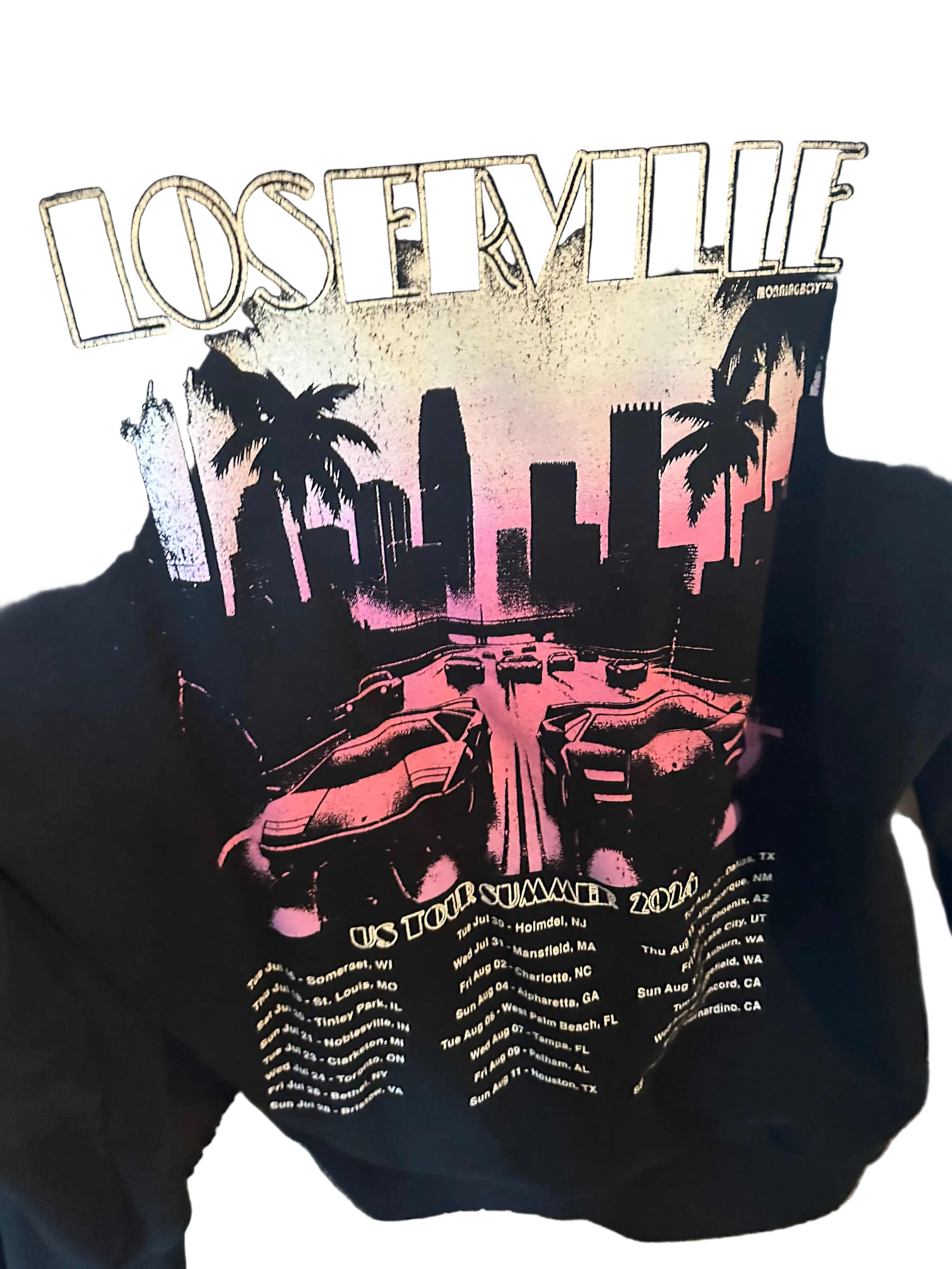 Limp Bizkit 2024 Loserville Tour Hoodie 2XL